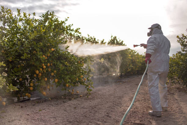 Best Pest Control for Businesses  in Tega Cay, SC
