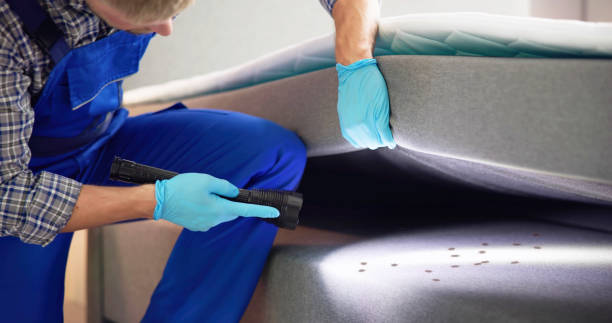 Best Rat Extermination Near Me  in Tega Cay, SC